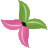 dermoeczanem.com
